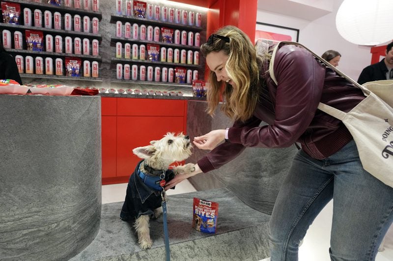 BenjisGuideToNYC attends the Milk-Bone x JIF Colab Collection Pop Up on Friday, March 28, 2025 in New York. (Charles Sykes/AP Content Services for Milk-Bone Peanut Buttery Bites)